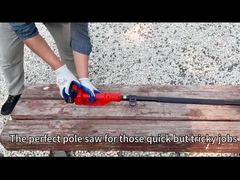 8 인치 장봉 동력톱 높은 범위 무선 배터리 가지치기는 봤습니다