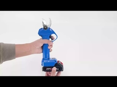 오스톤 AES20-3 톱니