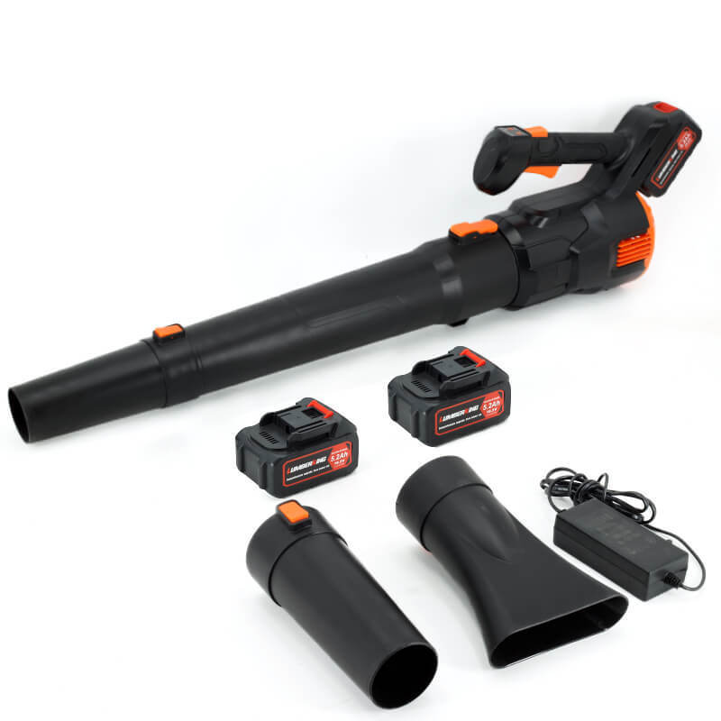 Wireless Cordless Battery Leaf Blower Portable Lightweight Electric Blower for Lawn and Patio